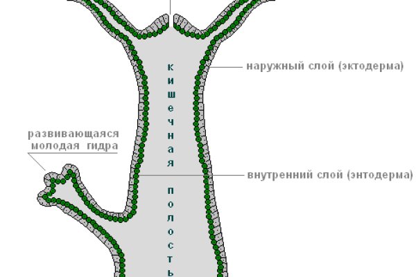 Мега что такое мориарти onion mega sbs